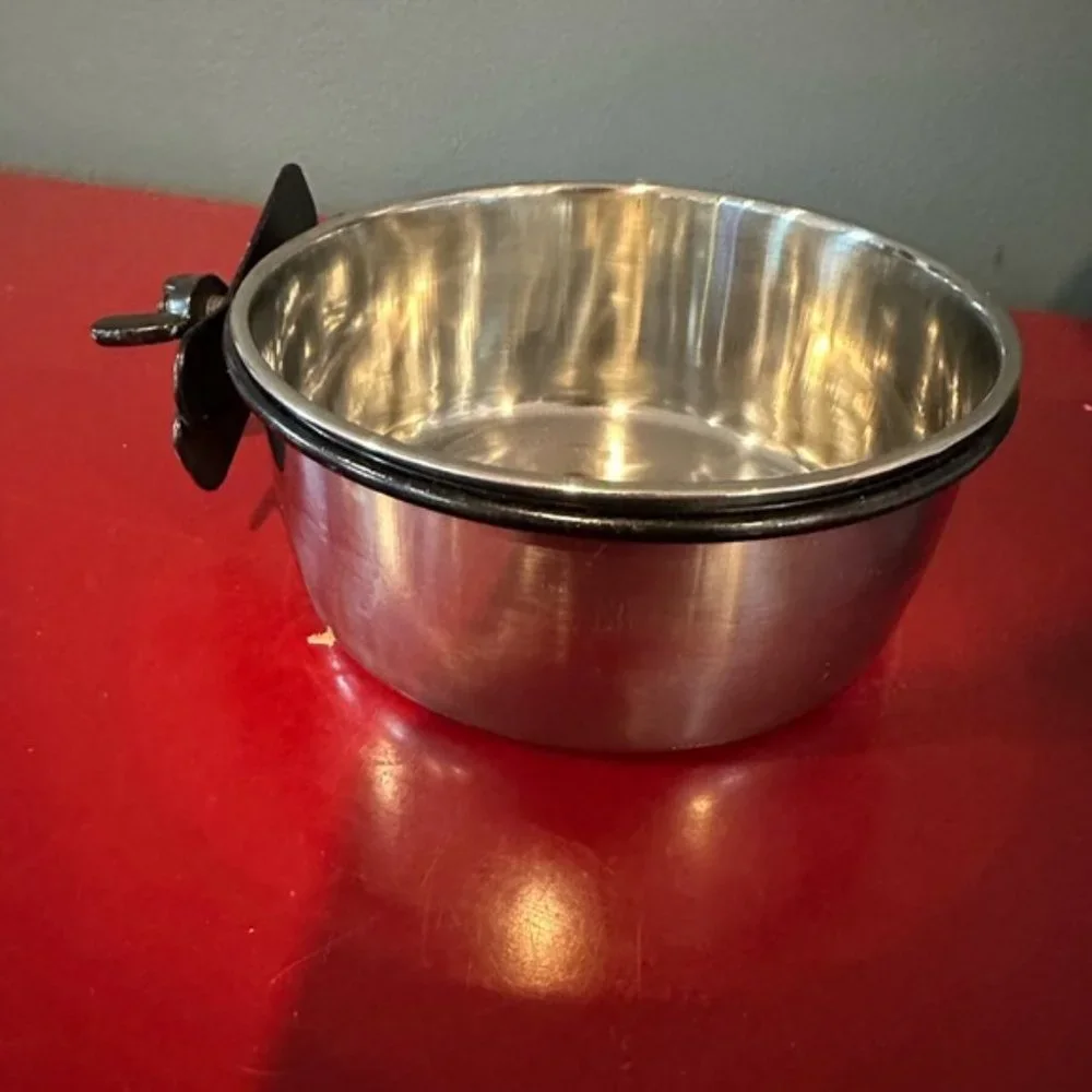 Bird dish